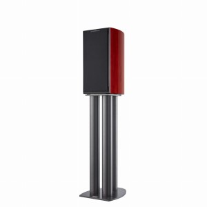 Audiovector R1 Avantgarde Afrykański Palisander