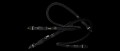 gal4-GalileoUEFAC-Combined2.jpg