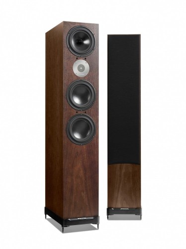 big_spendor-d9-dark-walnut.jpg