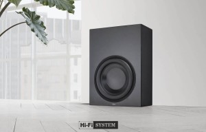 Lyngdorf BW-2 czarny