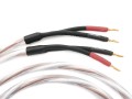 BSSC95_LD_8a(1).jpg