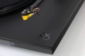 big_P6-Planar6-exact-cz-03.jpg