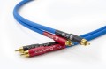 Blue-II-RCA-4-1024x666.jpg