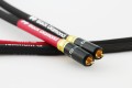 Black-Diamond-RCA-1-1024x683.jpg