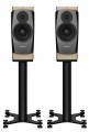 big_big-Dynaudio-confidence-20-blonde (1).jpg