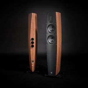 Scansonic HD Q3 Wood