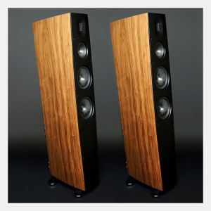 Scansonic HD Q10 Wood