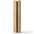 kompaktowy_glosnik_wi_fi_beosound_emerge_2_.jpg