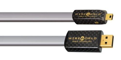 Wireworld-Platinum-Starlight-USB-Mini-B_N_138302_1.jpg