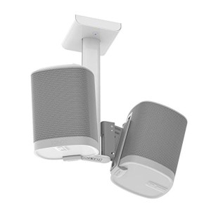 Flexon PLAY:1 CEILING MOUNT DUO